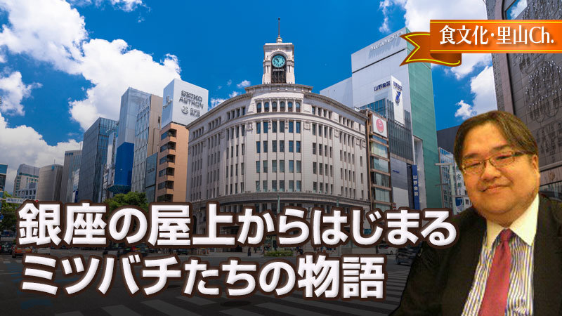 銀座の屋上からはじまるミツバチたちの物語