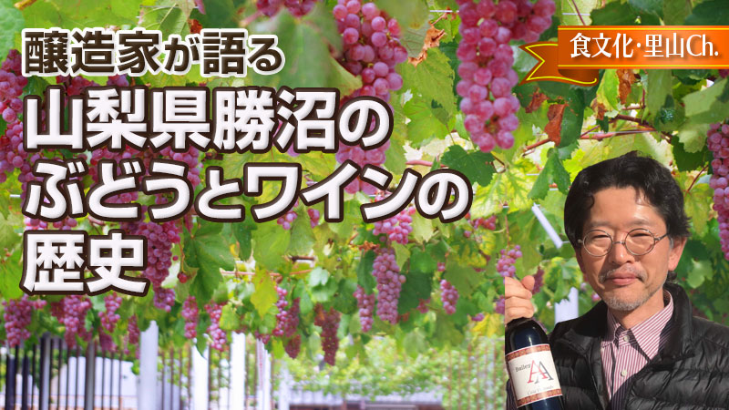 山梨県勝沼のぶどうとワインの歴史