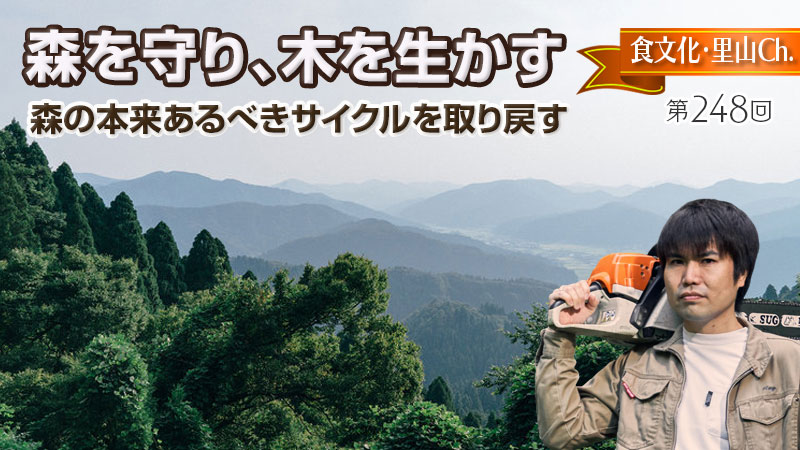 森を守り、木を生かす〜森の本来あるべきサイクルを取り戻す