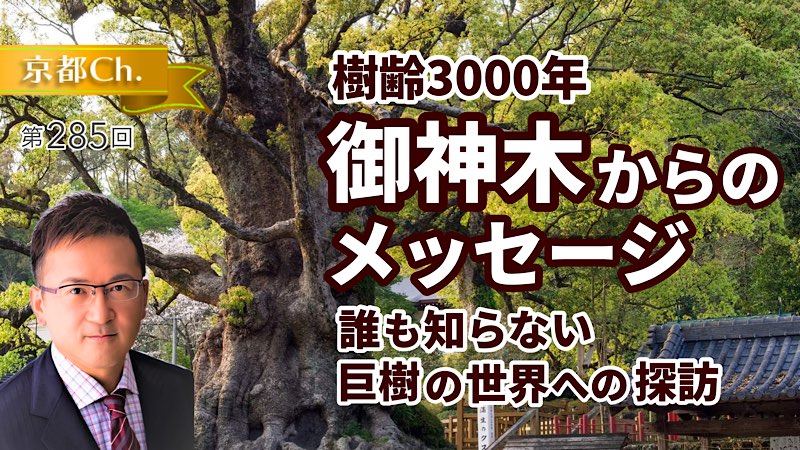 御神木からのメッセージ