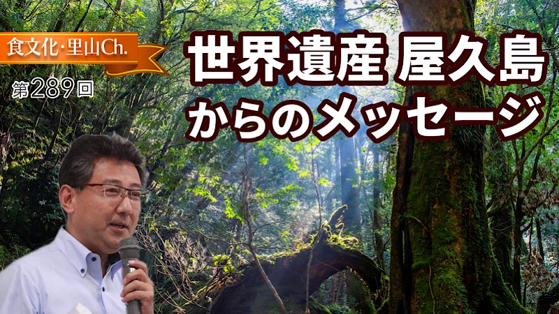 世界遺産 屋久島からのメッセージ