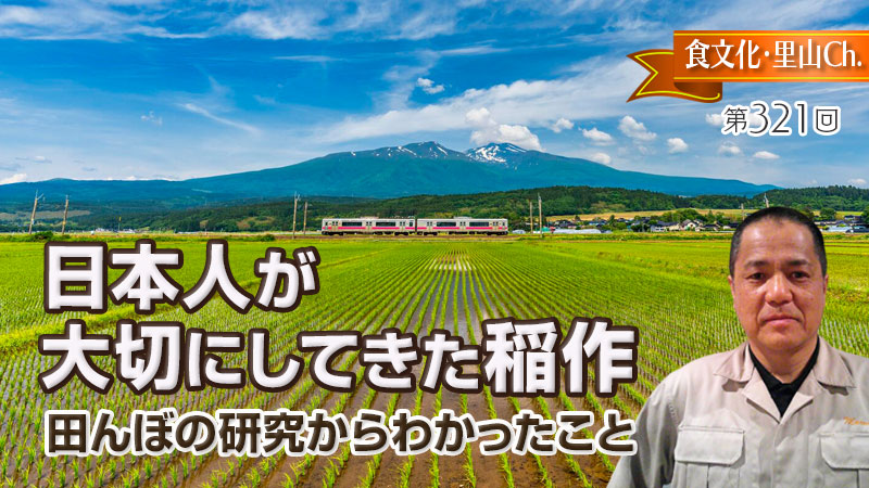 日本人が大切にしてきた稲作
